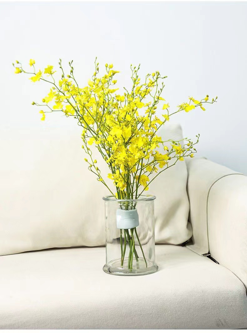 Spiral Stem Holder For Vase Fl - Ikebana Vase Kenzan review and price
