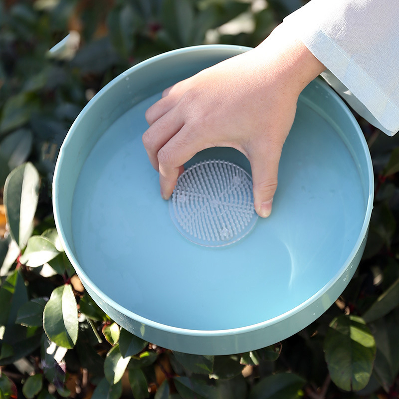 Round Ikebana Kenzan Suction C - Ikebana Vase Kenzan review and price
