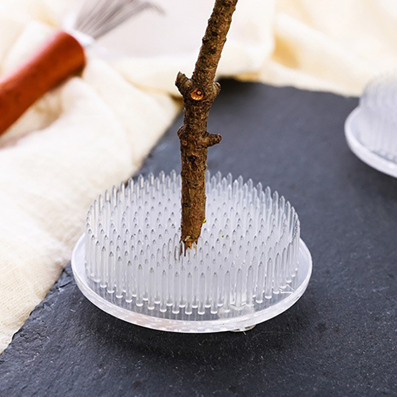 Round Ikebana Kenzan Suction C - Ikebana Vase Kenzan review and price