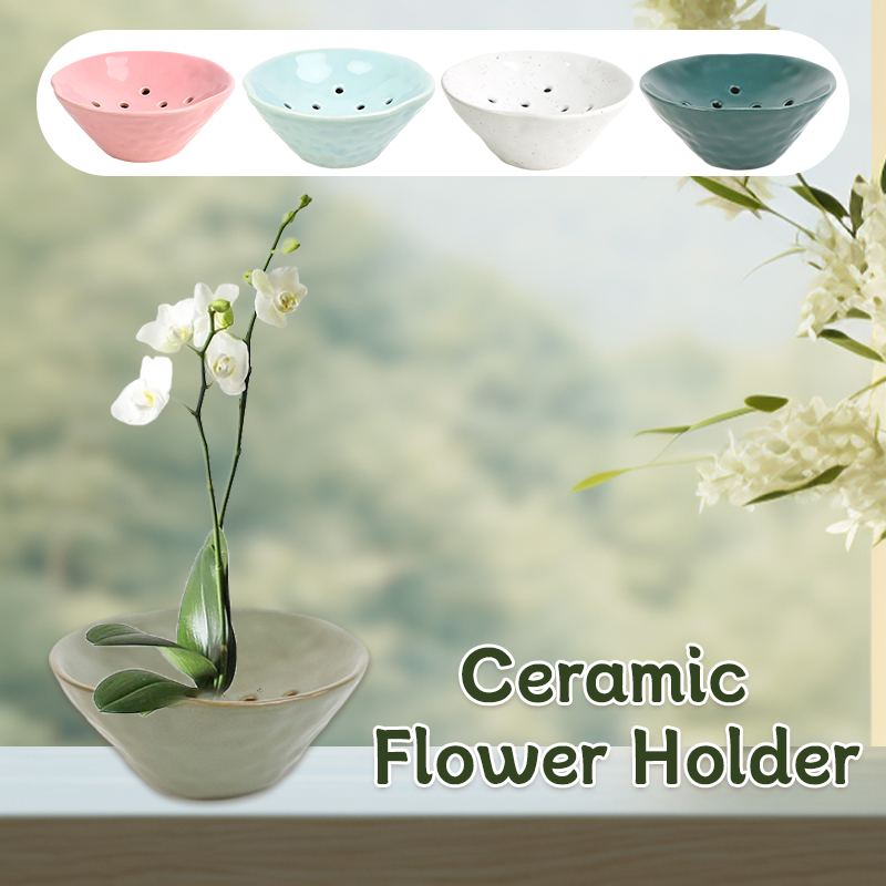 Caves Flower Pot Kenzan Cerami - Ikebana Vase Kenzan review and price